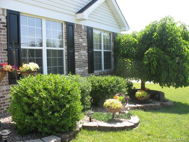 3 Crawford Ct, O'fallon, MO 63366 photo 2