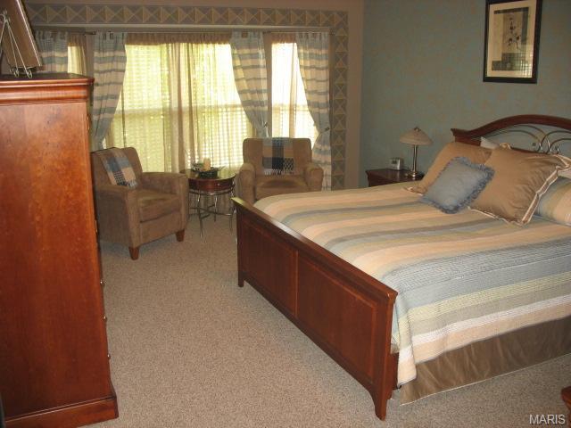 3 Crawford Ct, O'fallon, MO 63366 photo 13