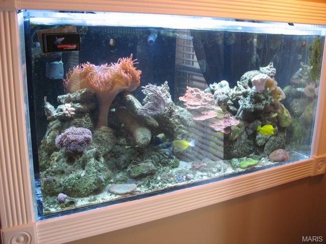 3 Crawford Ct, O'fallon, MO 63366 photo 11
