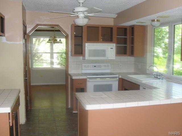 16 Treebeard Cir, Saint Charles, MO 63303 photo 6