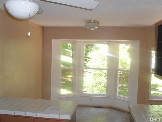16 Treebeard Cir, Saint Charles, MO 63303 photo 11