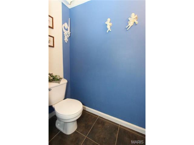 701 Diamond Pointe Ct, O'fallon, MO 63366 photo 22