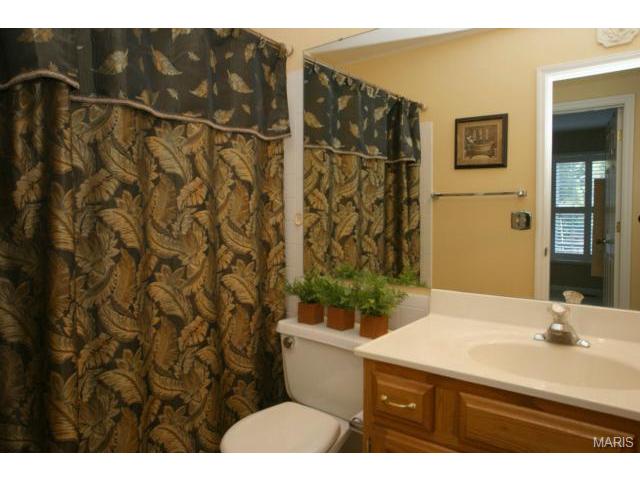 2409 Maple Tree Dr, Saint Charles, MO 63303 photo 17