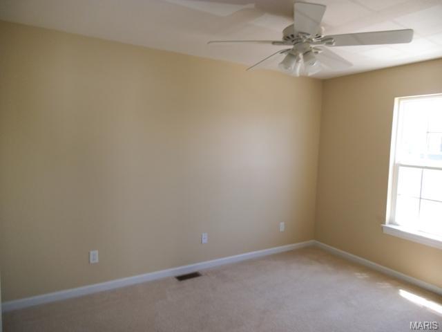 226 Tyndale Dr, O'fallon, MO 63366 photo 10