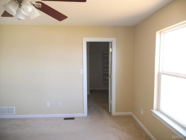 226 Tyndale Dr, O'fallon, MO 63366 photo 13