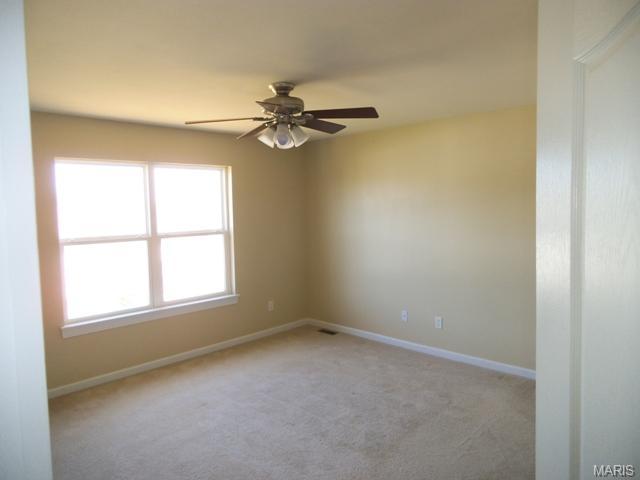 226 Tyndale Dr, O'fallon, MO 63366 photo 12