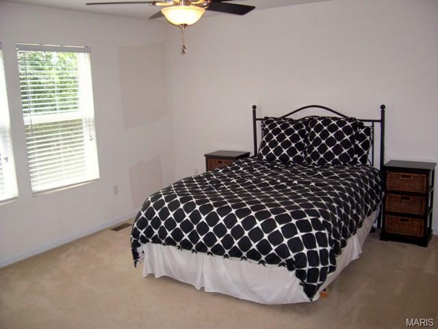 184 Fox Crk, O'fallon, MO 63366 photo 12