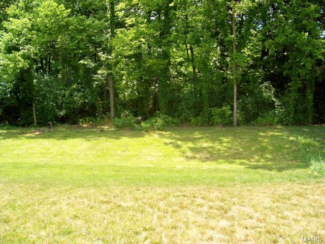184 Fox Crk, O'fallon, MO 63366 photo 20