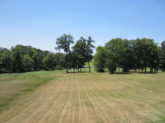 705 Hillenkamp, Weldon Spring, MO 63304 photo 4