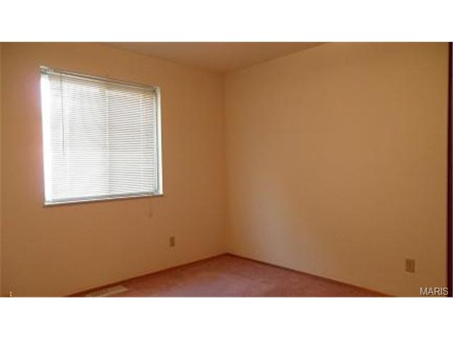 602 Aster Ln, O'fallon, MO 63366 photo 5