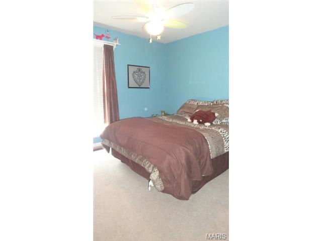 7535 Cinnamon Teal Dr, O'fallon, MO 63368 photo 20