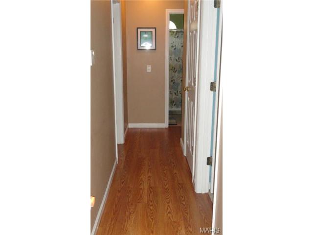 7535 Cinnamon Teal Dr, O'fallon, MO 63368 photo 15