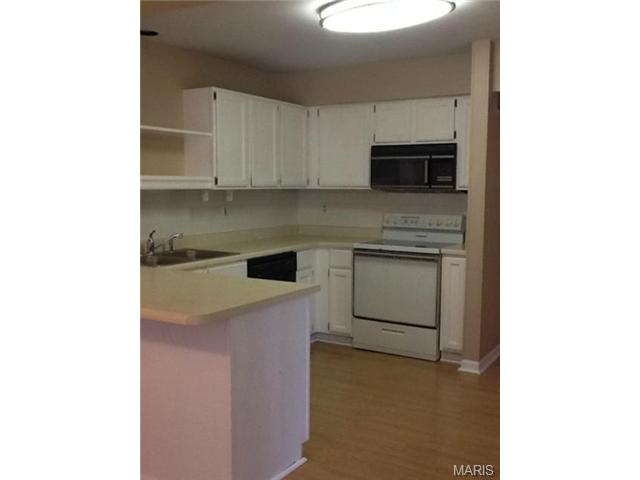 5534 Bourbeuse Common, Weldon Spring, MO 63304 photo 4