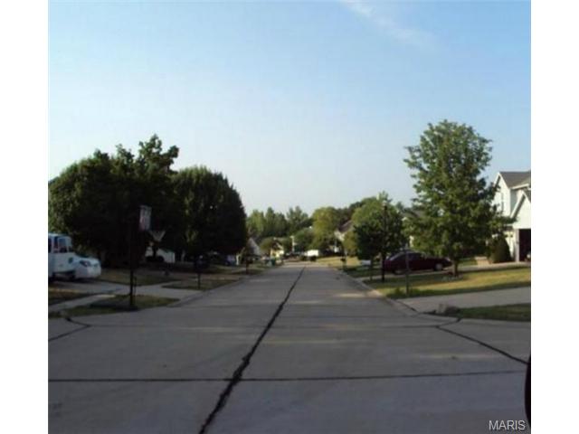 1117 Bellow Falls Dr, O'fallon, MO 63368 photo 3