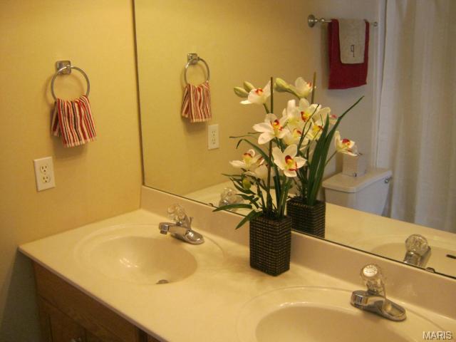 5 Ann Briar, O'fallon, MO 63366 photo 6