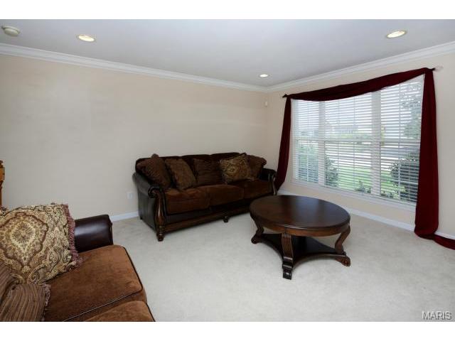 1056 Turtle Creek Dr, O'fallon, MO 63366 photo 10