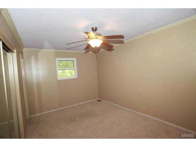 713 Levin Dr, O'fallon, MO 63366 photo 11