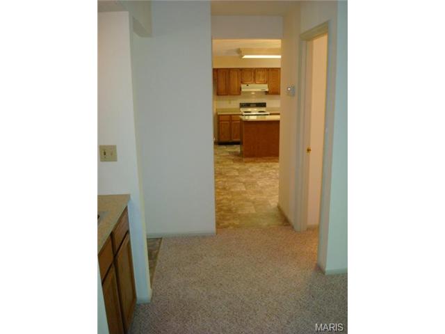 33 President Dr, O'fallon, MO 63368 photo 14