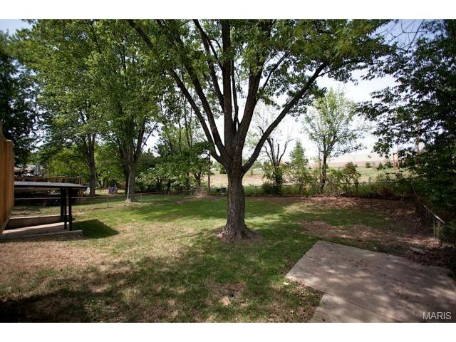 213 Wild Winds Dr, O'fallon, MO 63368 photo 12