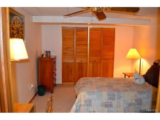 238 Surrey Ct, O'fallon, MO 63366 photo 48