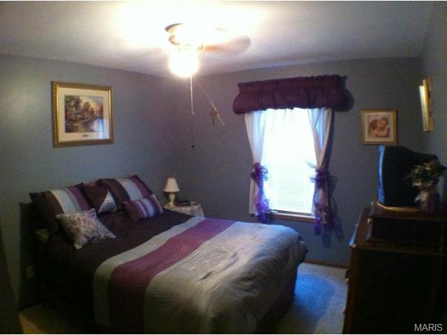238 Surrey Ct, O'fallon, MO 63366 photo 32