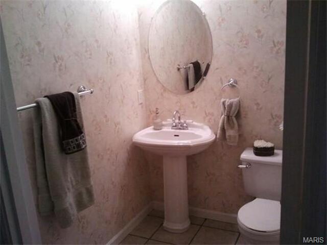12 Forest Pine Ct, O'fallon, MO 63368 photo 14