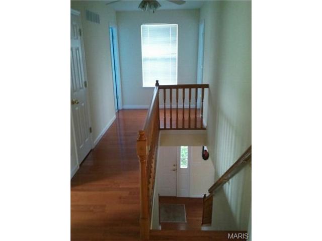 12 Forest Pine Ct, O'fallon, MO 63368 photo 19