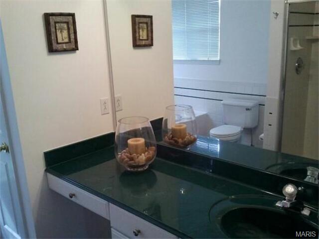 12 Forest Pine Ct, O'fallon, MO 63368 photo 23