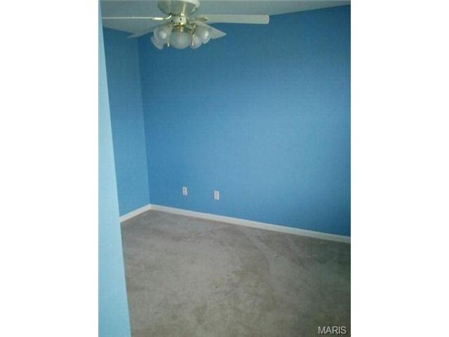 12 Forest Pine Ct, O'fallon, MO 63368 photo 16