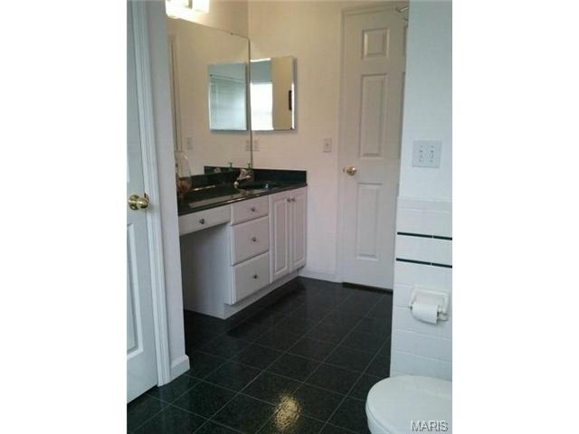12 Forest Pine Ct, O'fallon, MO 63368 photo 24