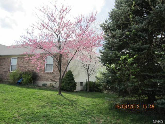 37 Winding Trl, O'fallon, MO 63366 photo 26