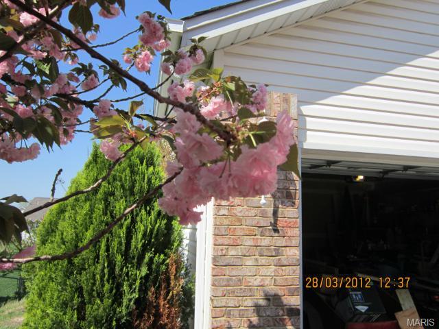 37 Winding Trl, O'fallon, MO 63366 photo 27