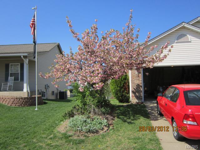 37 Winding Trl, O'fallon, MO 63366 photo 28