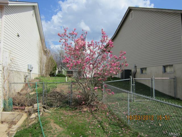 37 Winding Trl, O'fallon, MO 63366 photo 29