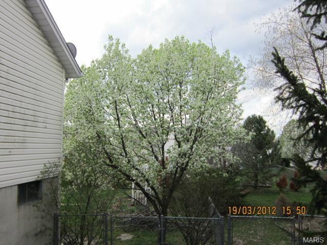37 Winding Trl, O'fallon, MO 63366 photo 30