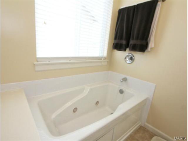 400 Spring Trce, O'fallon, MO 63368 photo 23
