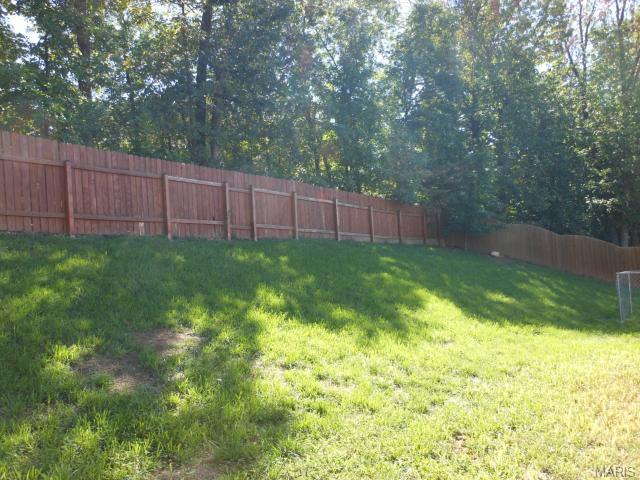 35 Saint Nicholas Ct, O'fallon, MO 63366 photo 54