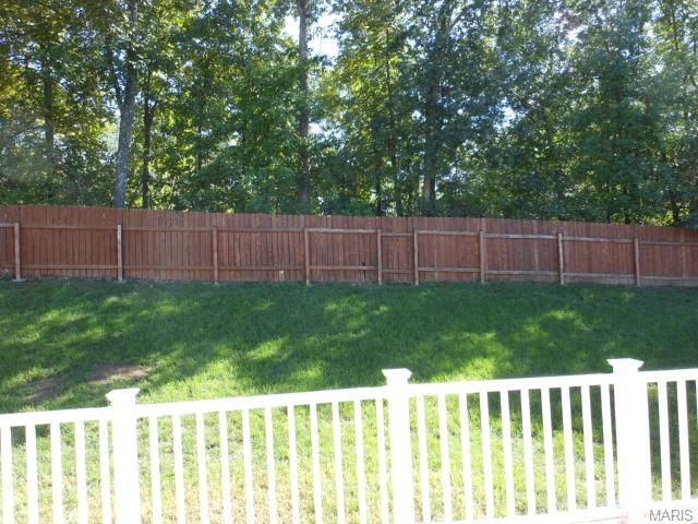 35 Saint Nicholas Ct, O'fallon, MO 63366 photo 53