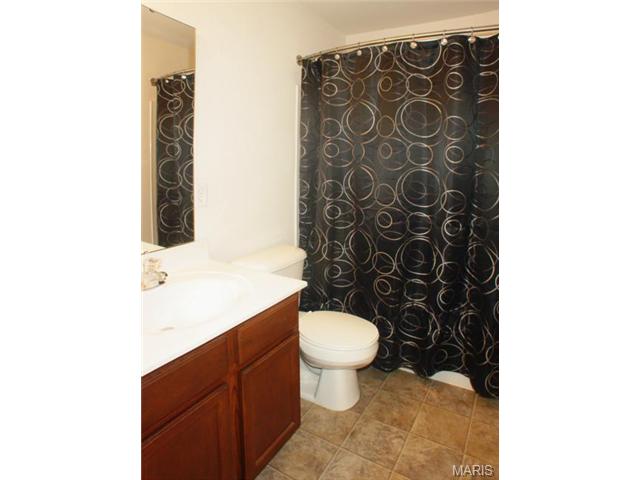 318 Burning Brook Dr, O'fallon, MO 63366 photo 31