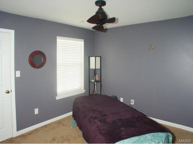 318 Burning Brook Dr, O'fallon, MO 63366 photo 34