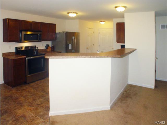 318 Burning Brook Dr, O'fallon, MO 63366 photo 23