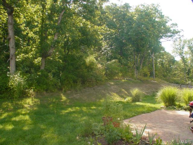 318 Burning Brook Dr, O'fallon, MO 63366 photo 13