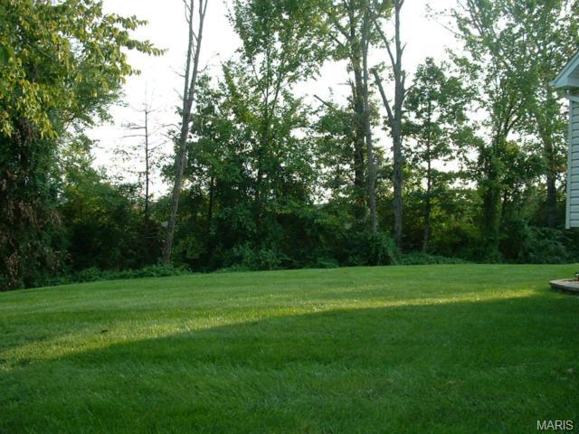 3153 Post Run Dr, O'fallon, MO 63368 photo 47