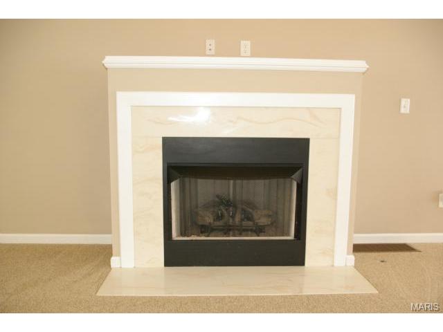 1 Baldridge Ct, O'fallon, MO 63368 photo 27