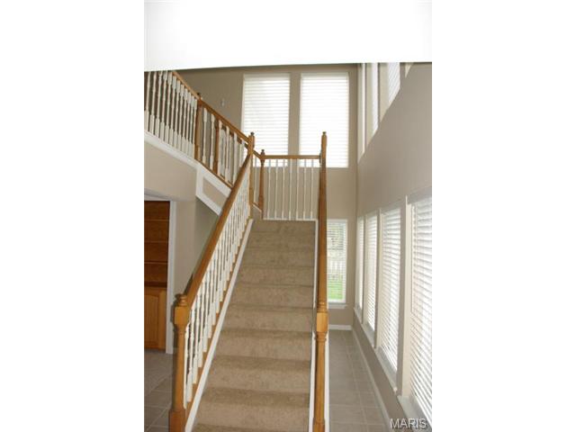 1 Baldridge Ct, O'fallon, MO 63368 photo 28