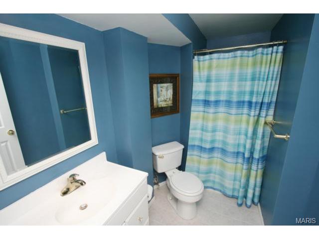 1202 Bellow Falls Dr, O'fallon, MO 63368 photo 14
