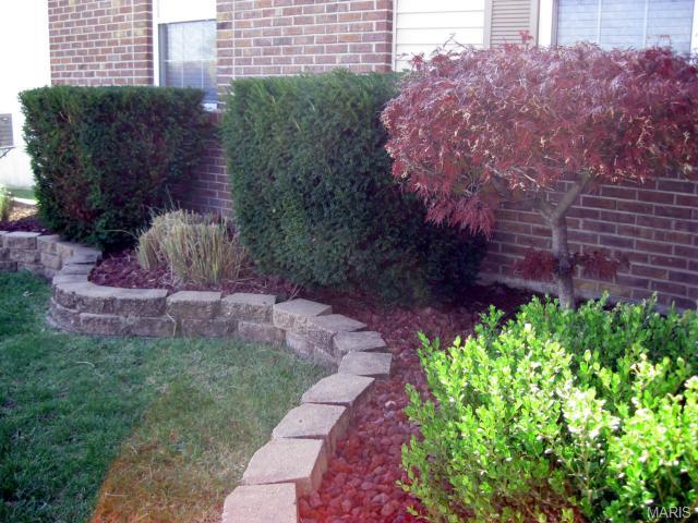 2641 Black Cherry Dr, O'fallon, MO 63368 photo 53