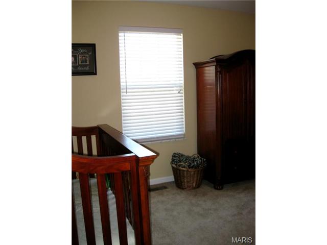 2641 Black Cherry Dr, O'fallon, MO 63368 photo 27