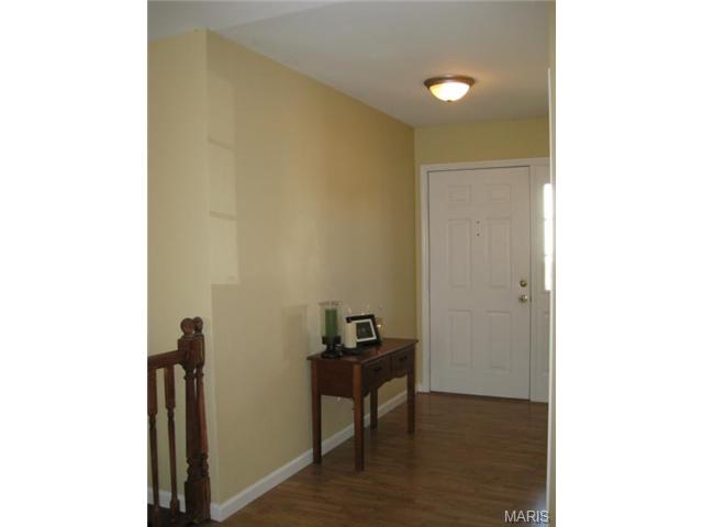 2641 Black Cherry Dr, O'fallon, MO 63368 photo 43
