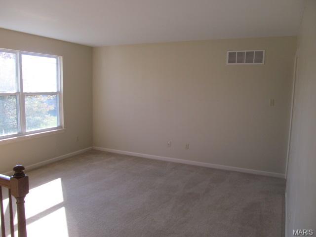 11 Rivercity Pass, O'fallon, MO 63366 photo 9